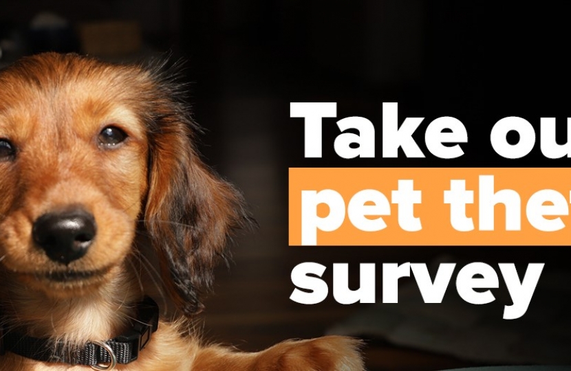 Pet Theft Survey